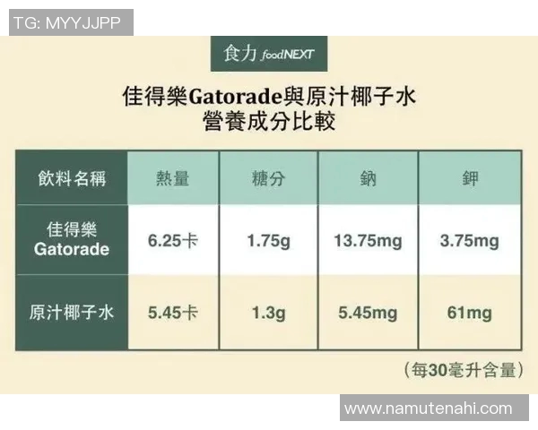 独家解析上海极限运动队的训练节奏与表现差异分析