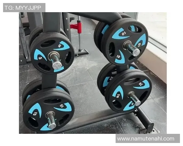 高端健身器材品牌：高端健身器材品牌及其产品优势