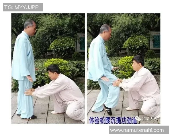 杭州排球队耐力提升之路探讨与热议